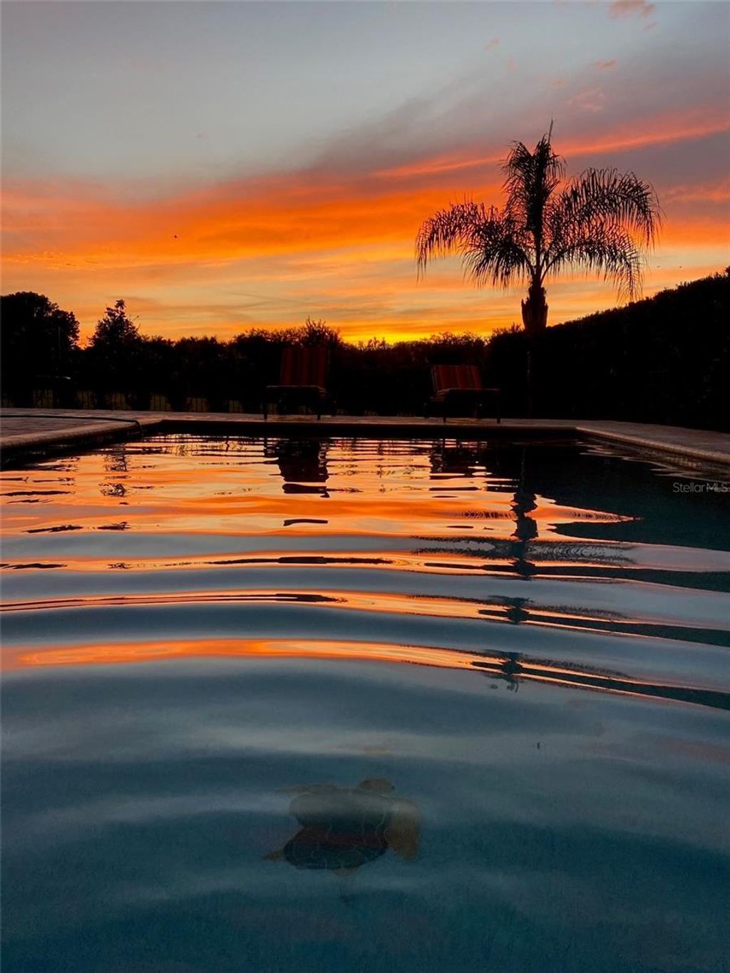 Photo of 5709 White Trillium Loop, Land O Lakes, FL 34639 (MLS # TB8434233)