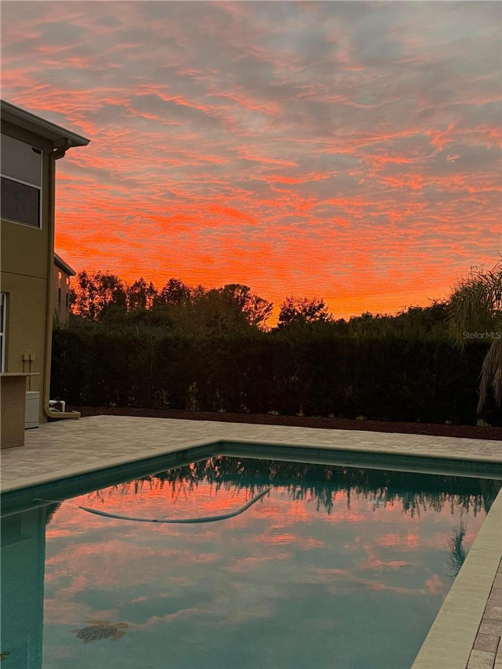 Photo of 5709 White Trillium Loop, Land O Lakes, FL 34639 (MLS # TB8434233)