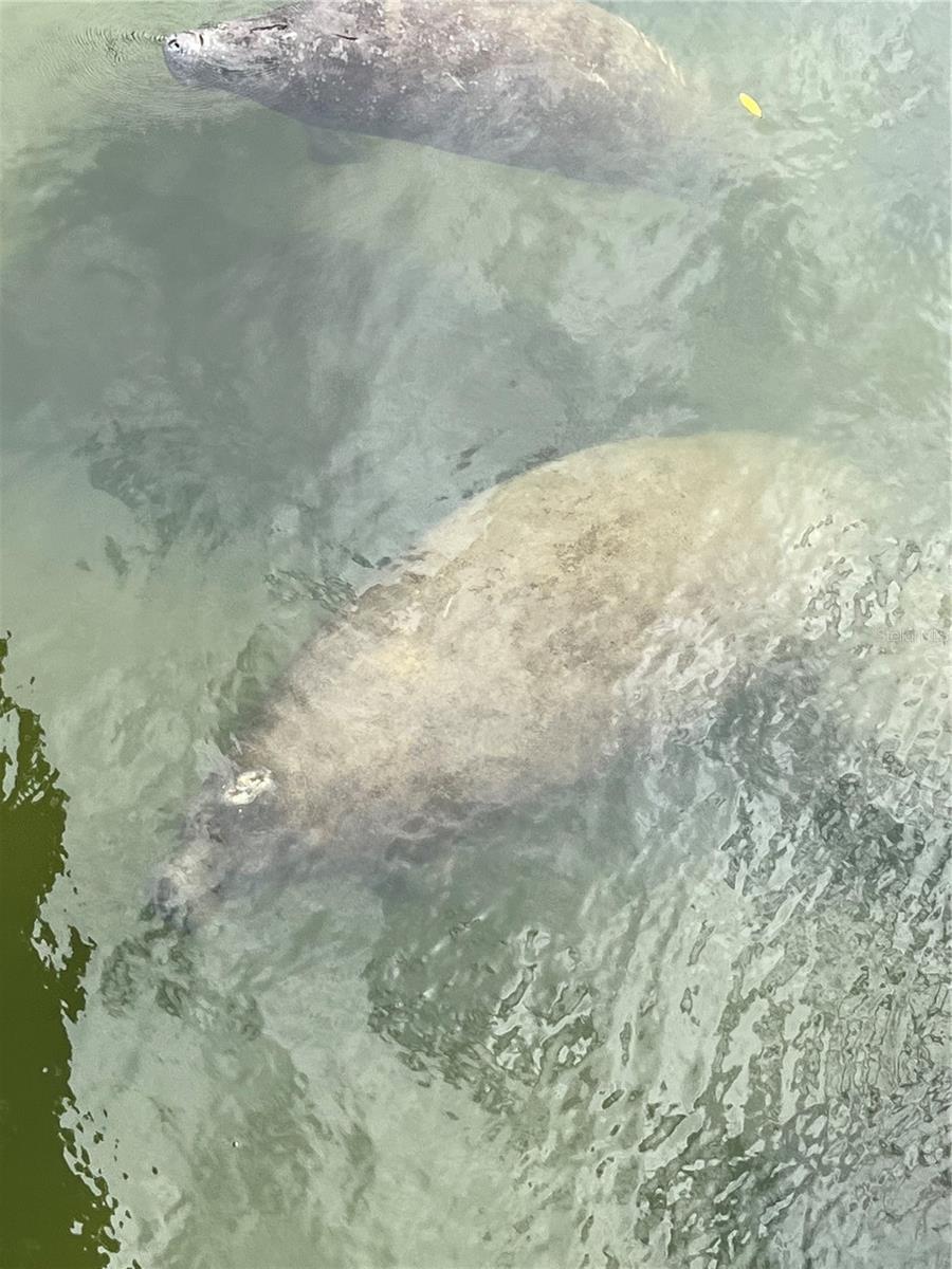 WESTCHESTER GARDEN & PLAN - Residential