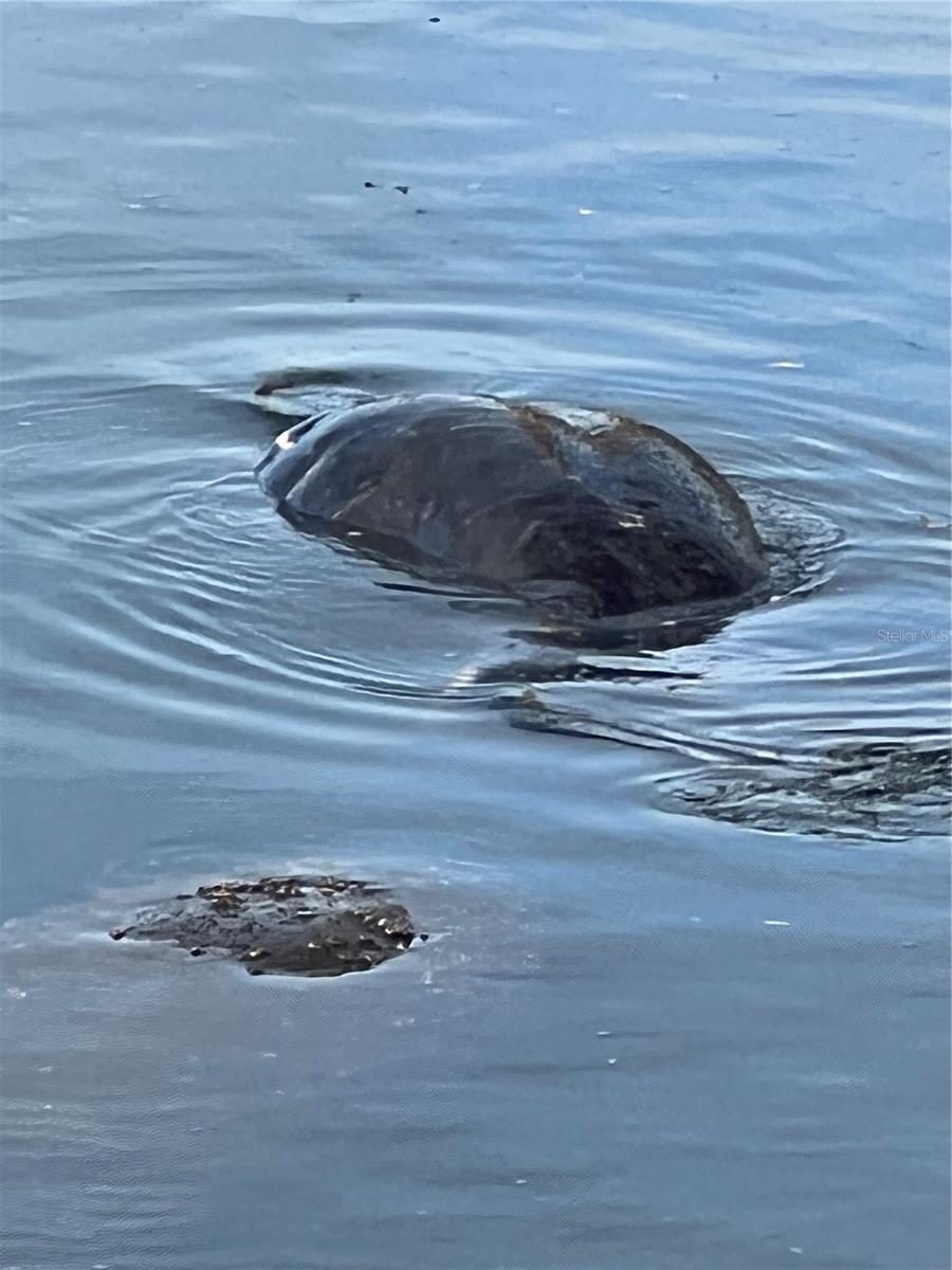 WESTCHESTER GARDEN & PLAN - Residential