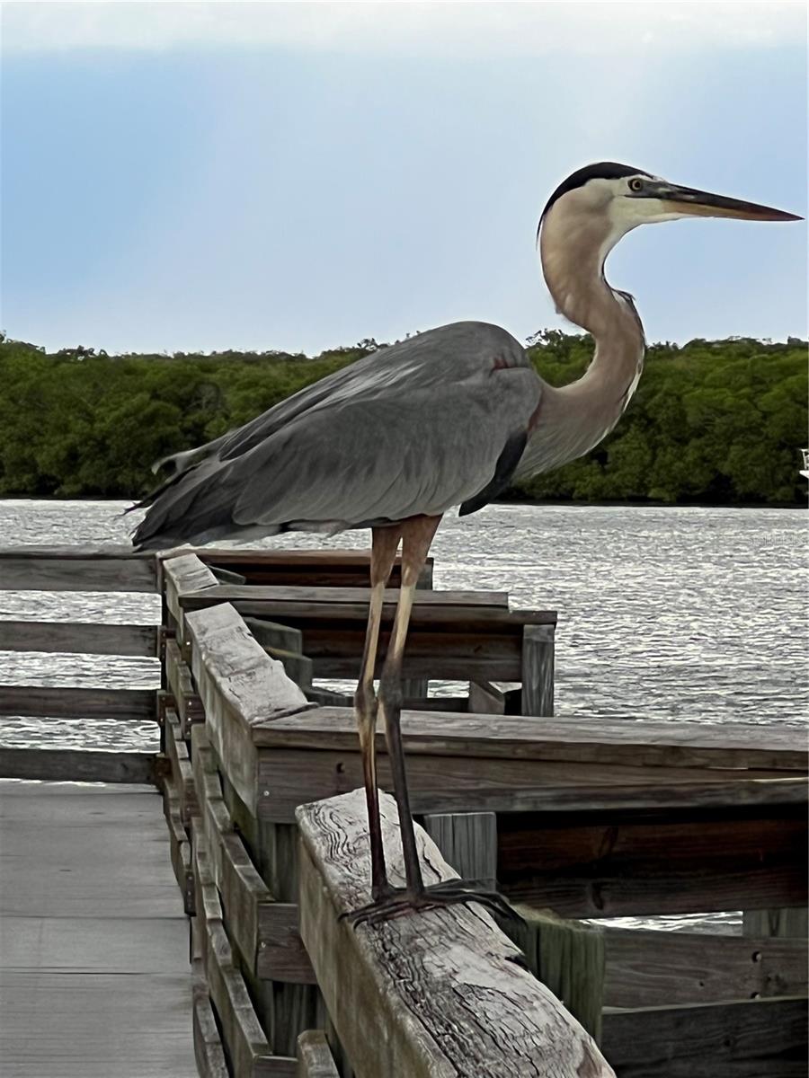 WESTCHESTER GARDEN & PLAN - Residential