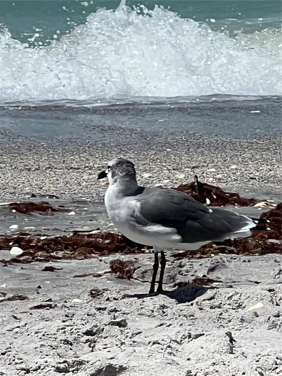 WESTCHESTER GARDEN & PLAN - Residential