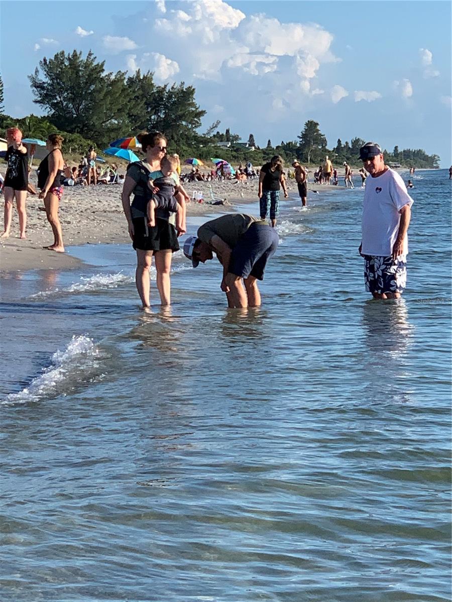 WESTCHESTER GARDEN & PLAN - Residential