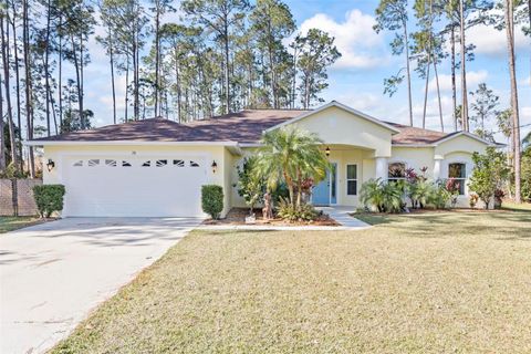 A home in PALM COAST