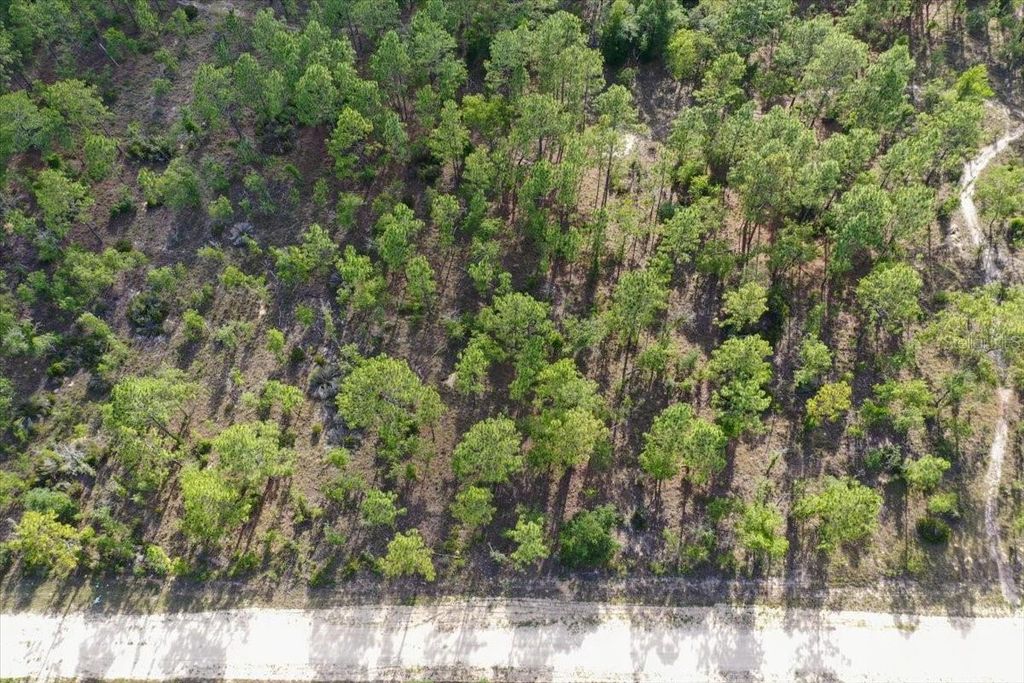Photo of 0000 NE 132 Terrace Lot 2 Terrace, Williston, FL 32696 (MLS # TB8529199)
