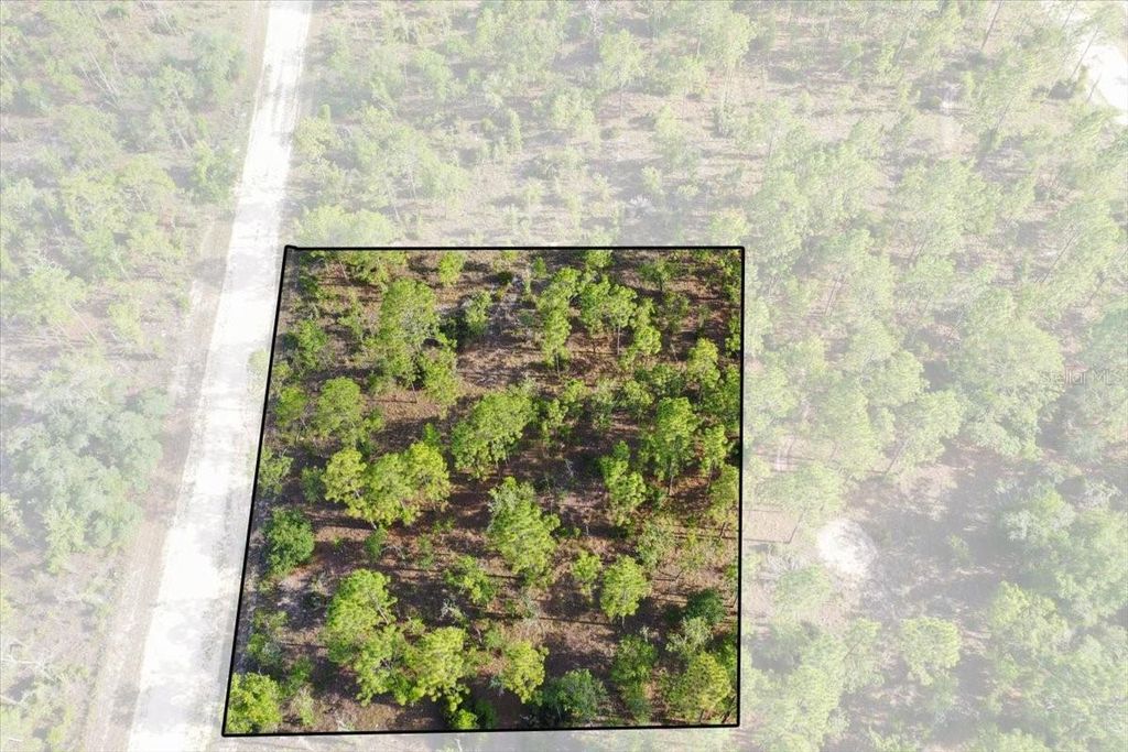 Photo of 0000 NE 132 Terrace Lot 2 Terrace, Williston, FL 32696 (MLS # TB8529199)
