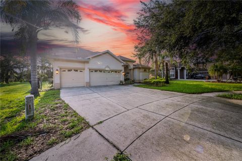 A home in VALRICO