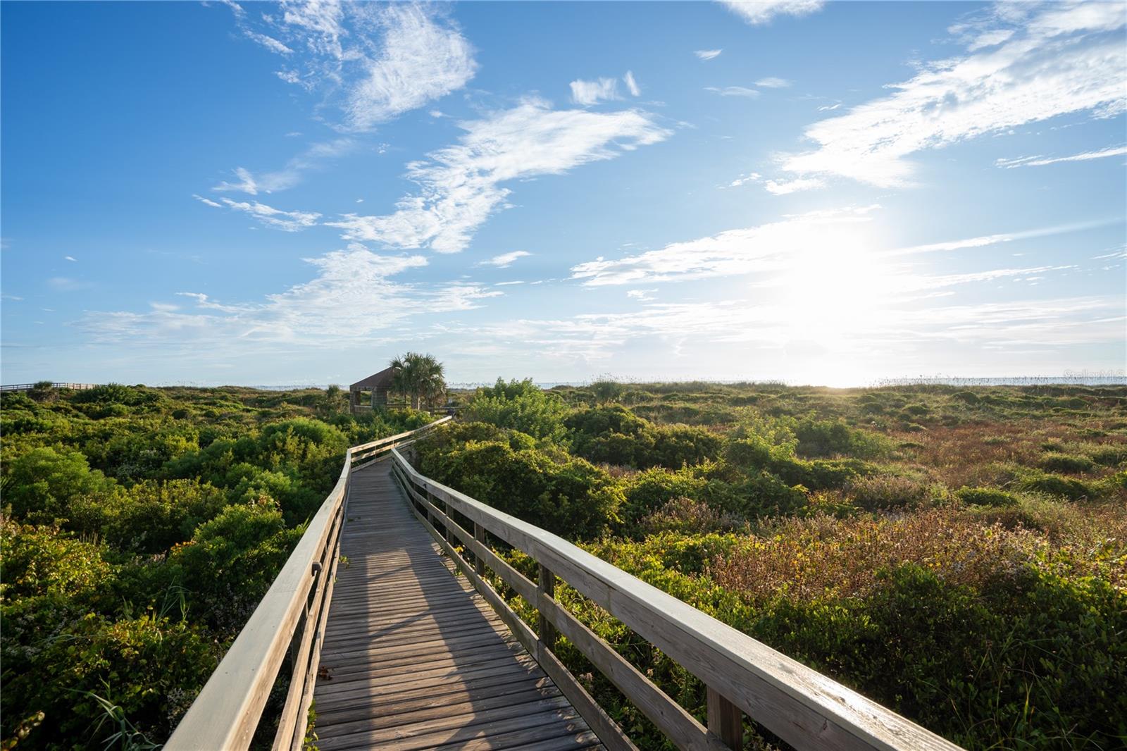 HIBISCUS 02 - Residential