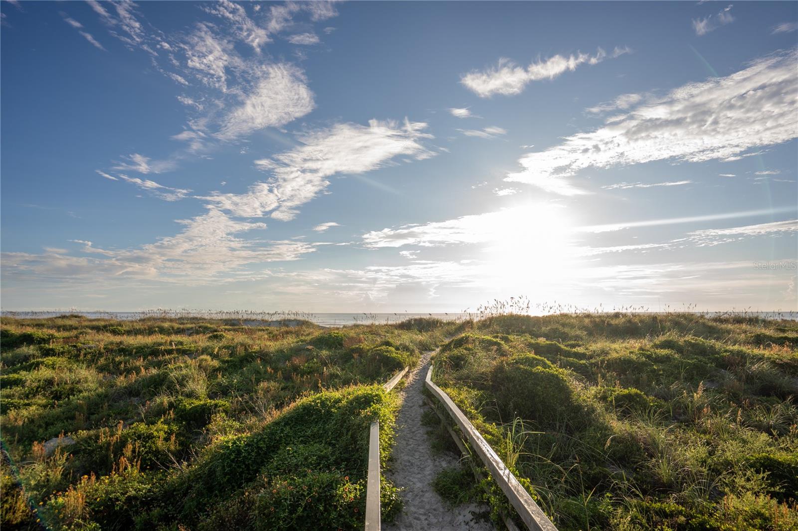 HIBISCUS 02 - Residential