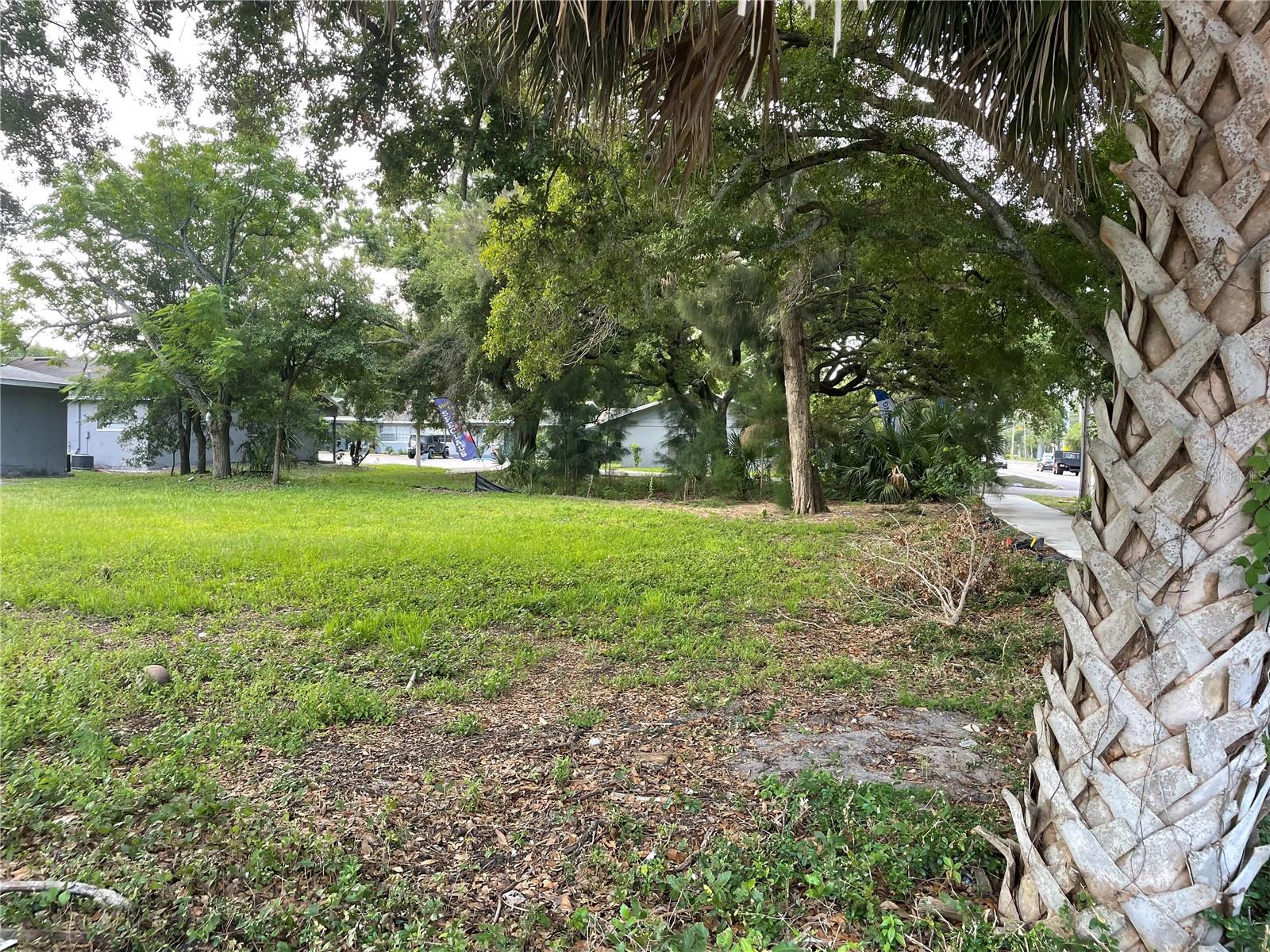 PINELLAS STREET