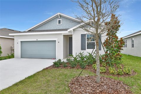 Photo of 324 Alexandrite Street, Deland, FL 32720 (MLS # S5137789)