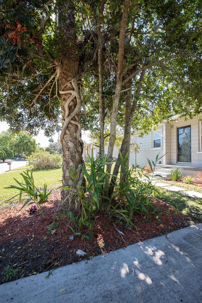 Tuscawilla Highlands - Residential