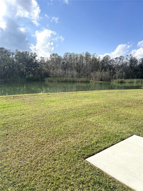 A home in ZEPHYRHILLS