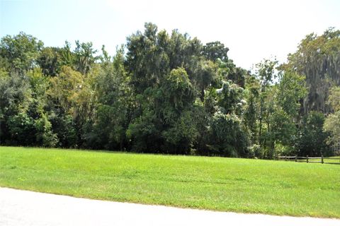REDTREE DRIVE LEESBURG FL 34748