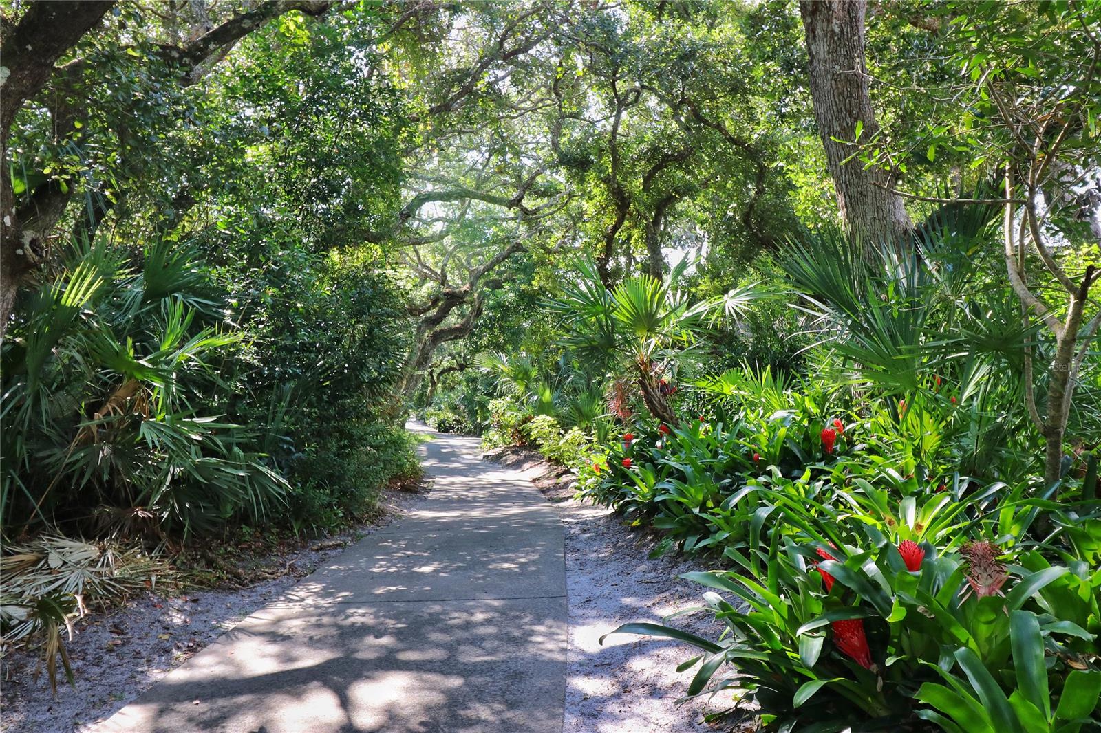 Verandas At Sea Woods Condo - Residential