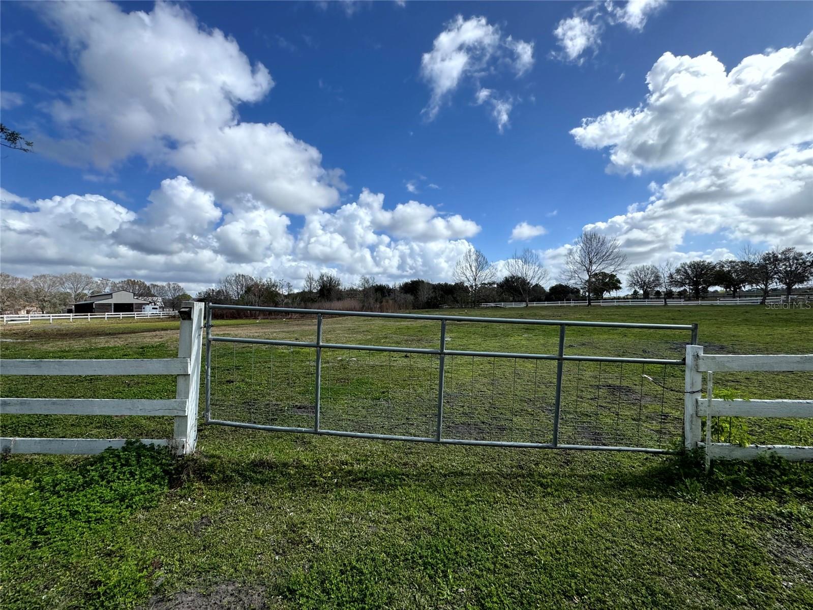 WEKIVA ESTATES - Residential