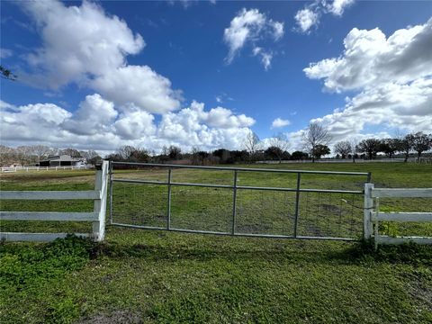 Tiny photo for 31243 Bear Pond Drive, Sorrento, FL 32776 (MLS # O6387727)