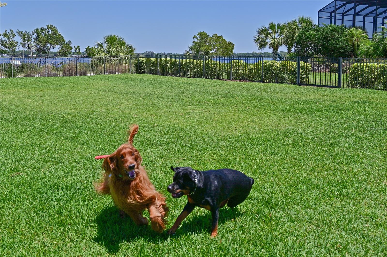 TIDEWATER PRESERVE - Residential