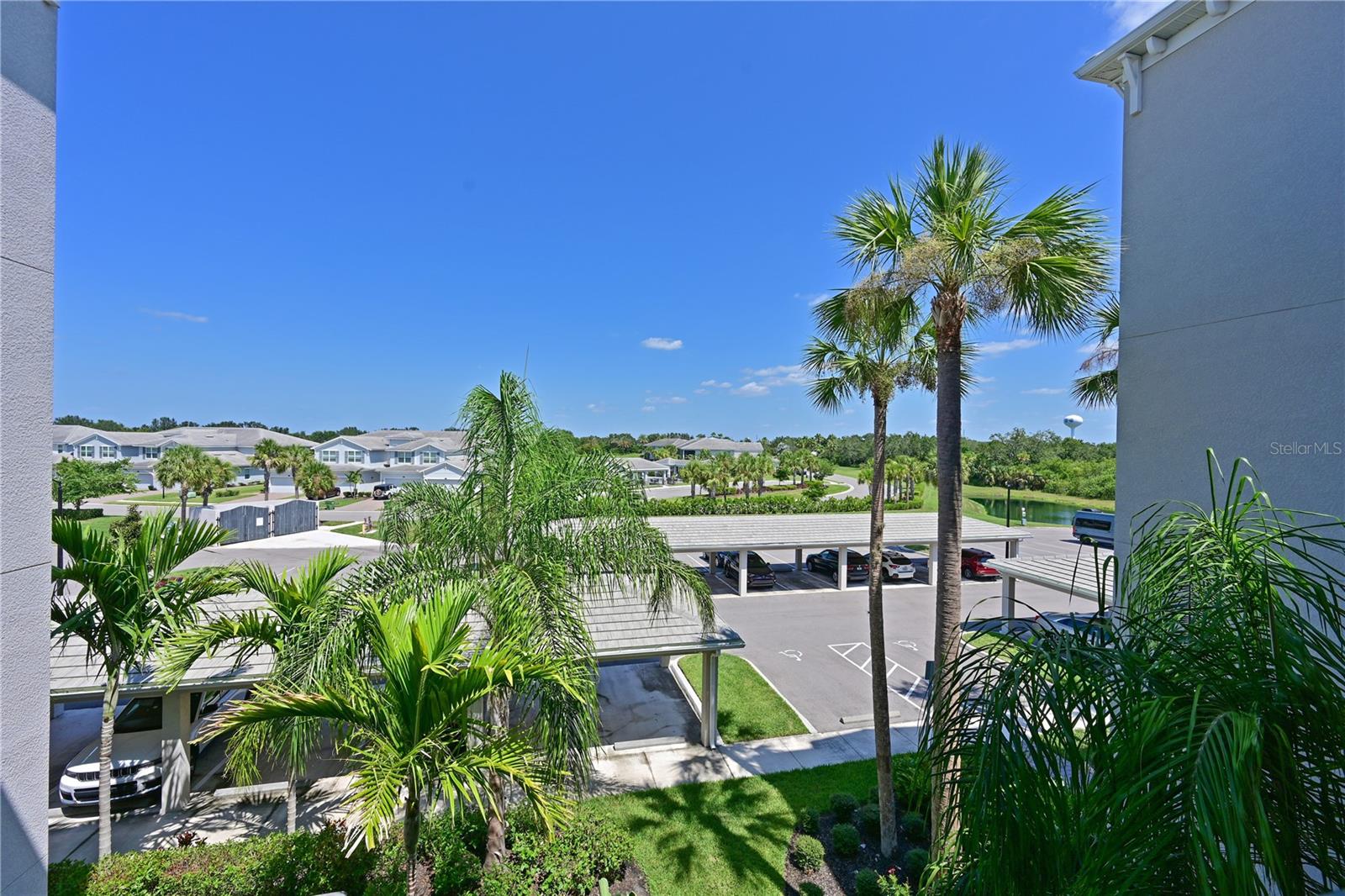 TIDEWATER PRESERVE - Residential