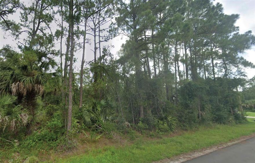 Build now or invest in one of North Port’s fastest-growing areas. This residential vacant lot on Lummus St is located in the desirable Port Charlotte Subdivision, surrounded by newer construction and well-kept homes. Zoned R1 and ideal for a single-family residence, with electric available at the street. Convenient access to US-41 and I-75 makes commuting easy, while nearby shopping, dining, schools, and the North Port Aquatic Center add everyday appeal. The west-facing rear exposure is perfect for enjoying Florida sunsets and designing a backyard oasis or pool. This lot is being offered with a rare opportunity to purchase two adjacent lots together (PID:0958113828) for $40,000 or $21,000 each. Secure your spot in a neighborhood on the rise before prices climb further! All information is deemed reliable but should be independently verified.