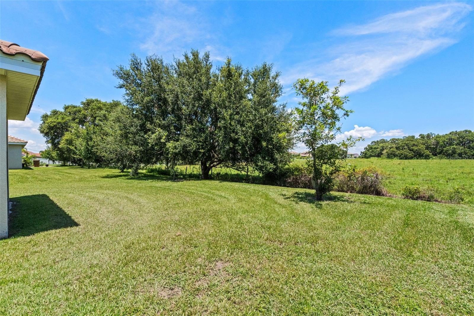 BELLALAGO PH 5J - Residential