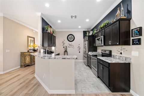Tiny photo for 1194 Mcdonough Place, The Villages, FL 32163 (MLS # G5107637)
