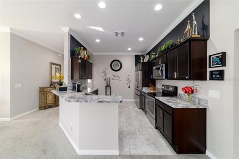 Tiny photo for 1194 Mcdonough Place, The Villages, FL 32163 (MLS # G5107637)