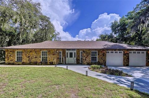 A home in RIVERVIEW