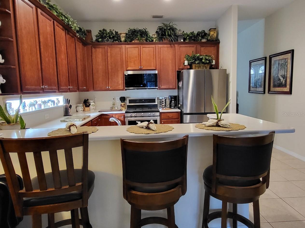 STONEGATE AT SILVER LAKE SUB - Residential