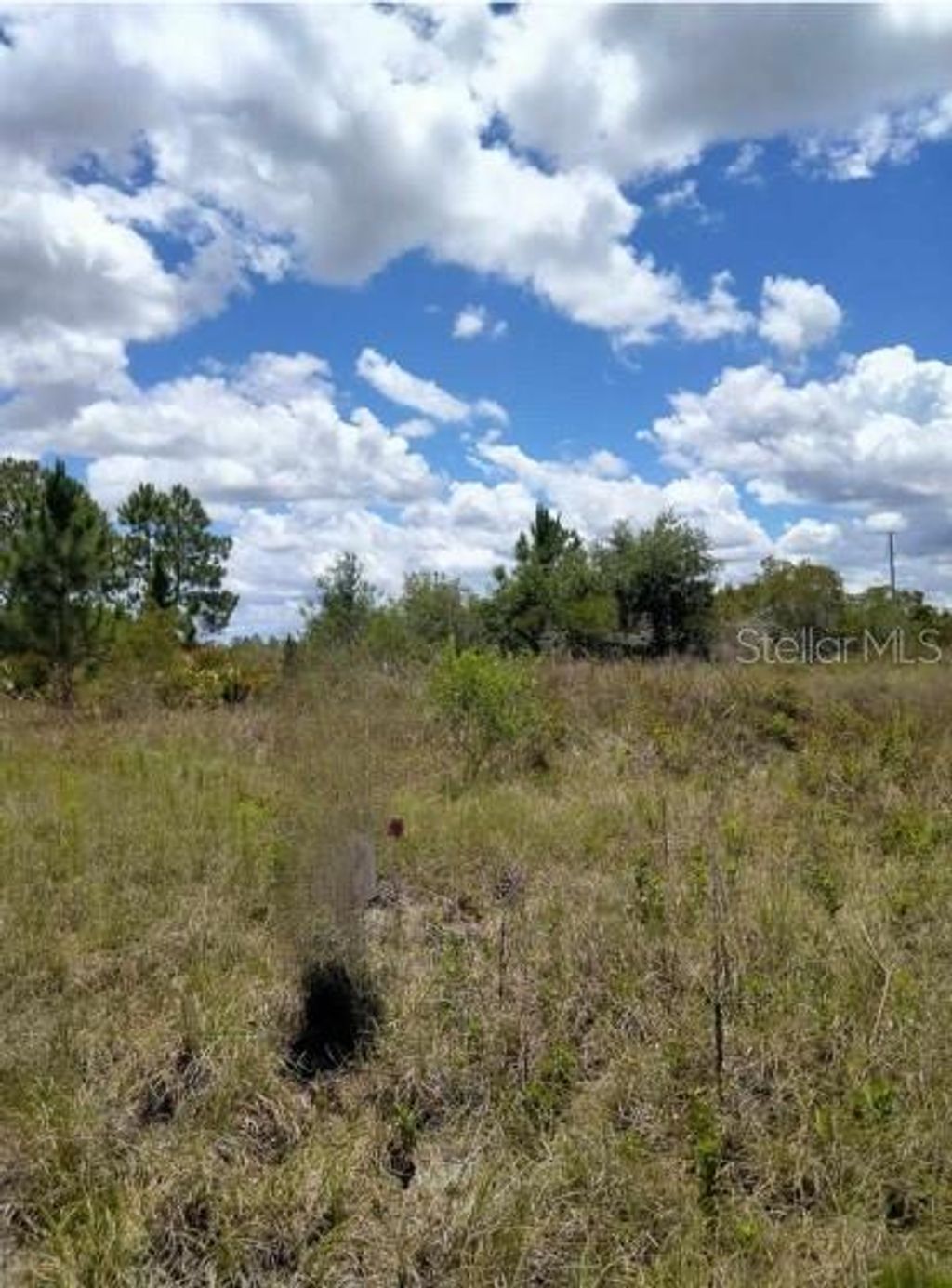 Photo of 1264 S Mccoy Road, Avon Park, FL 33825 (MLS # TB8426450)