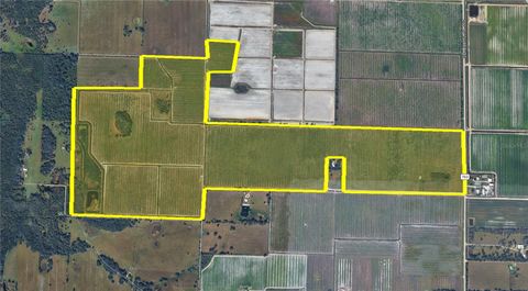 SE C & H DRIVE 339 ARCADIA FL 34266