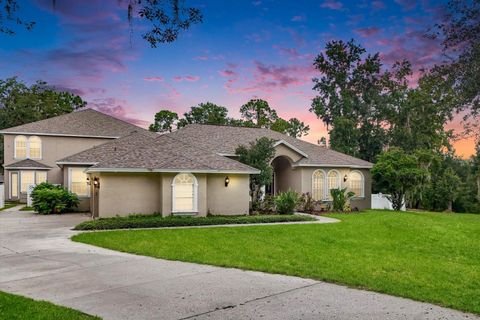 Photo of 11505 Heron Hills Lane, Riverview, FL 33569 (MLS # TB8350386)