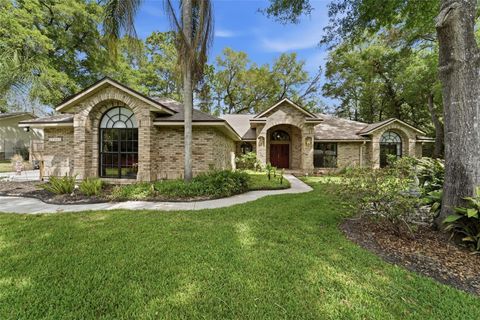 1061 TORCHWOOD DRIVE DELAND FL 32724