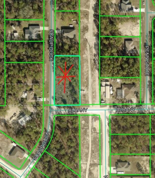 Photo of 12421 Albany Road, Weeki Wachee, FL 34614 (MLS # C7531333)