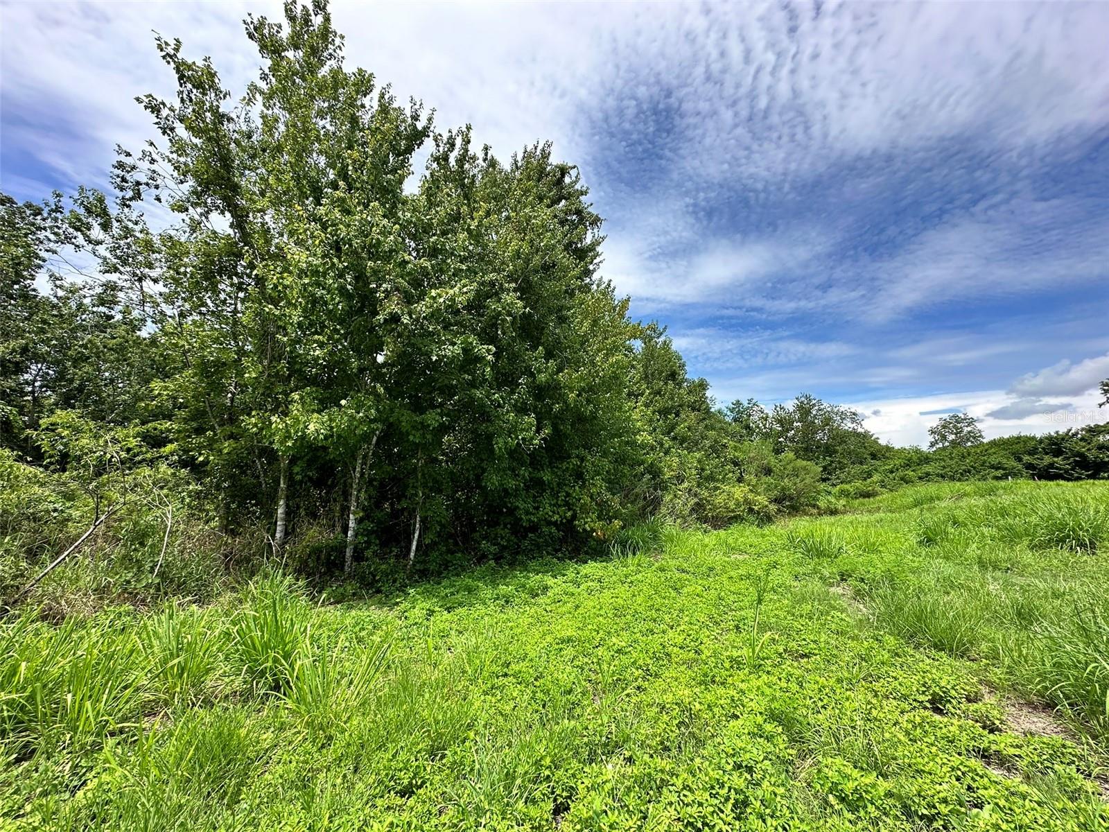 1401 N FULLERS CROSS ROAD