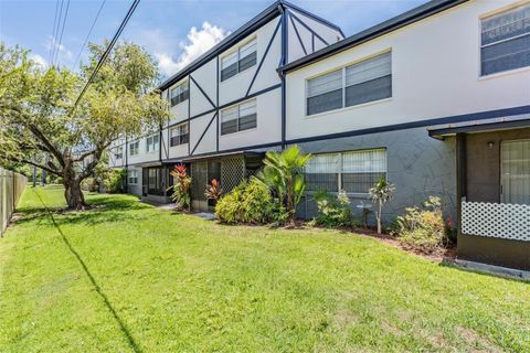 A home in DUNEDIN