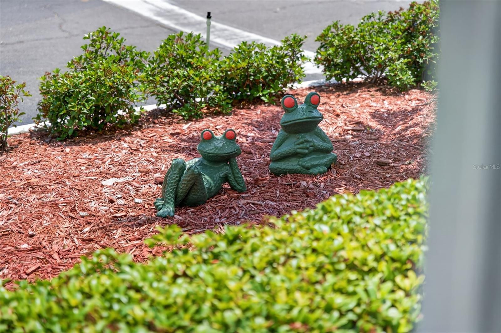 TOWN SHORES OF GULFPORT - Residential