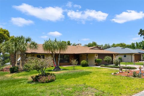 A home in EUSTIS