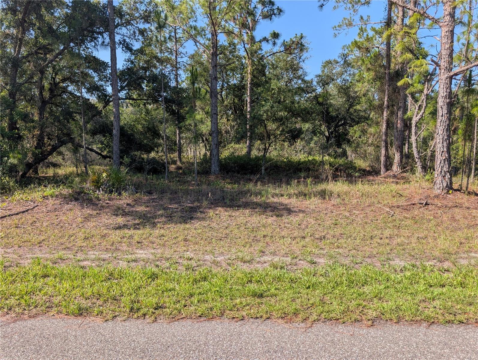 819 & 821 ALLAMANDA DRIVE