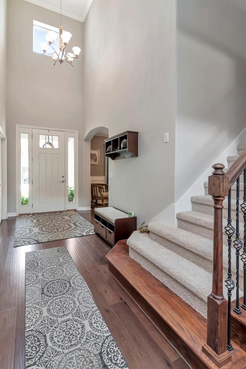 26972 EVERGREEN CHASE DRIVE