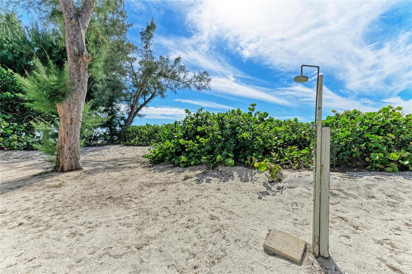 PRINCESS MARTHA APTS - Residential