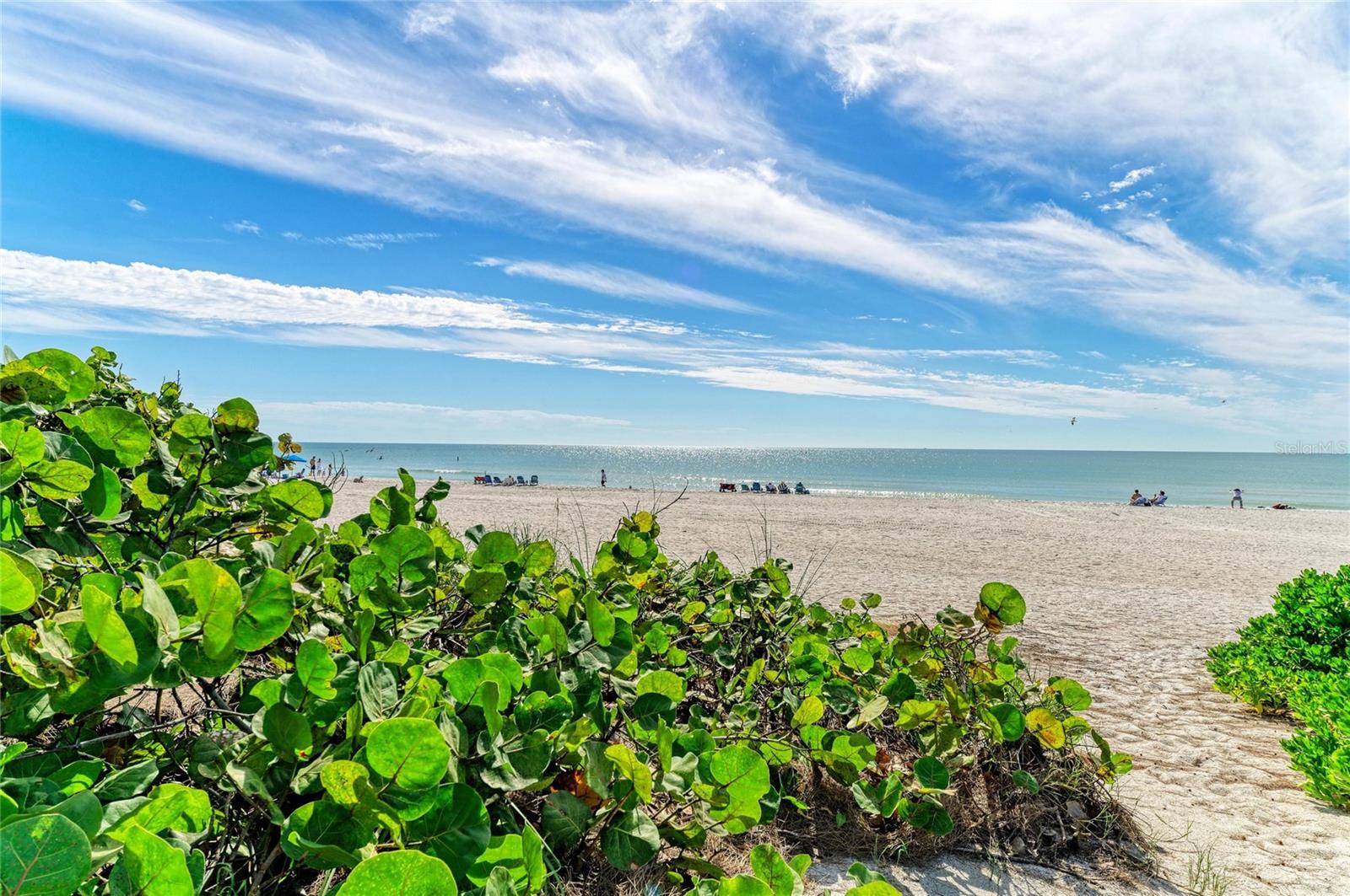 PRINCESS MARTHA APTS - Residential