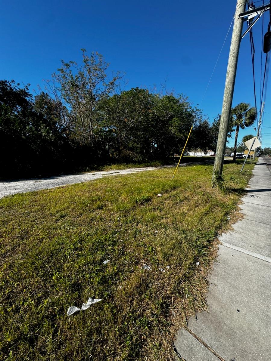 MARTIN LUTHER KING JR AVENUE