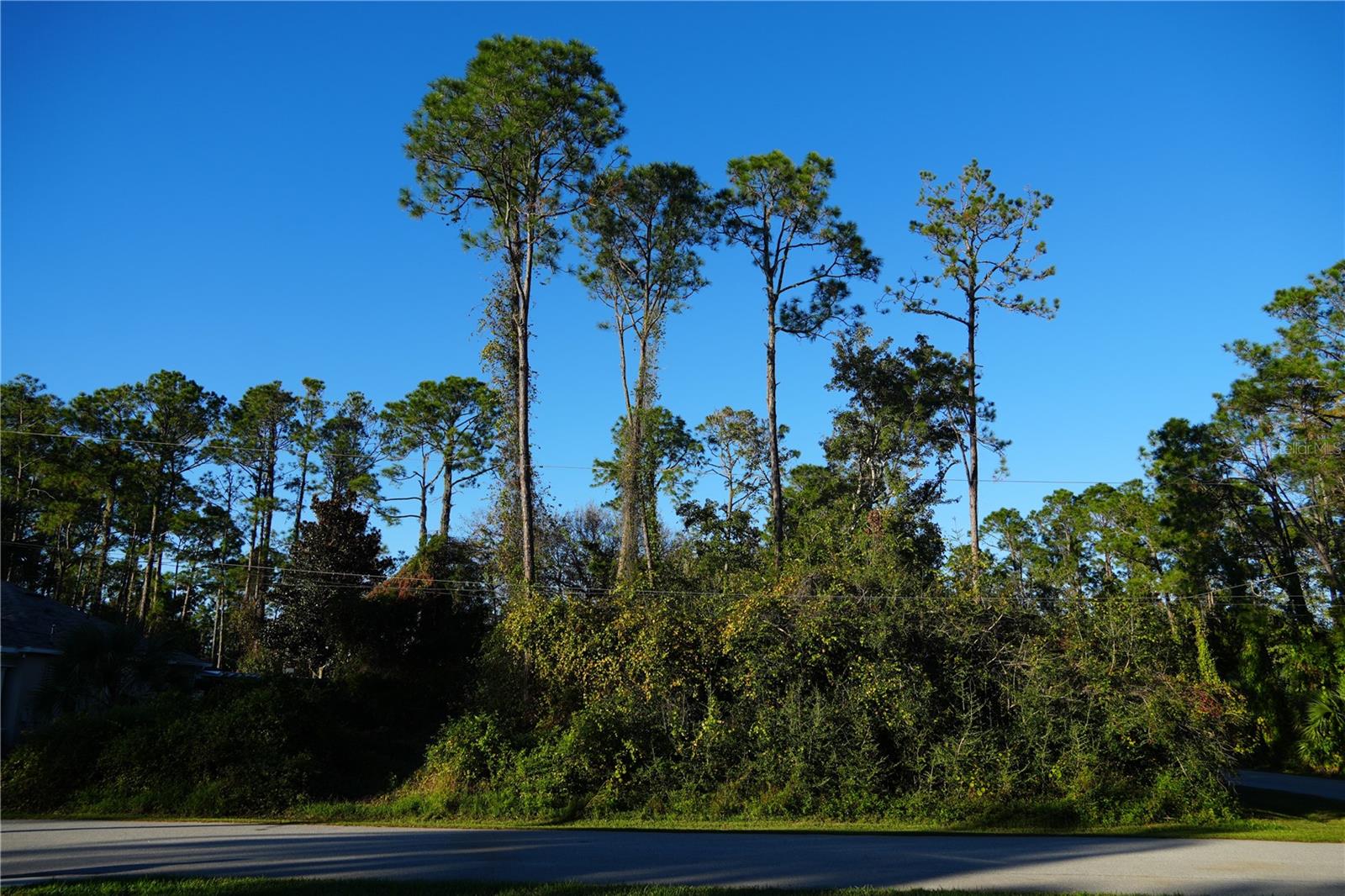 PALM COAST/EASTHAMPTON SEC 34 - Land