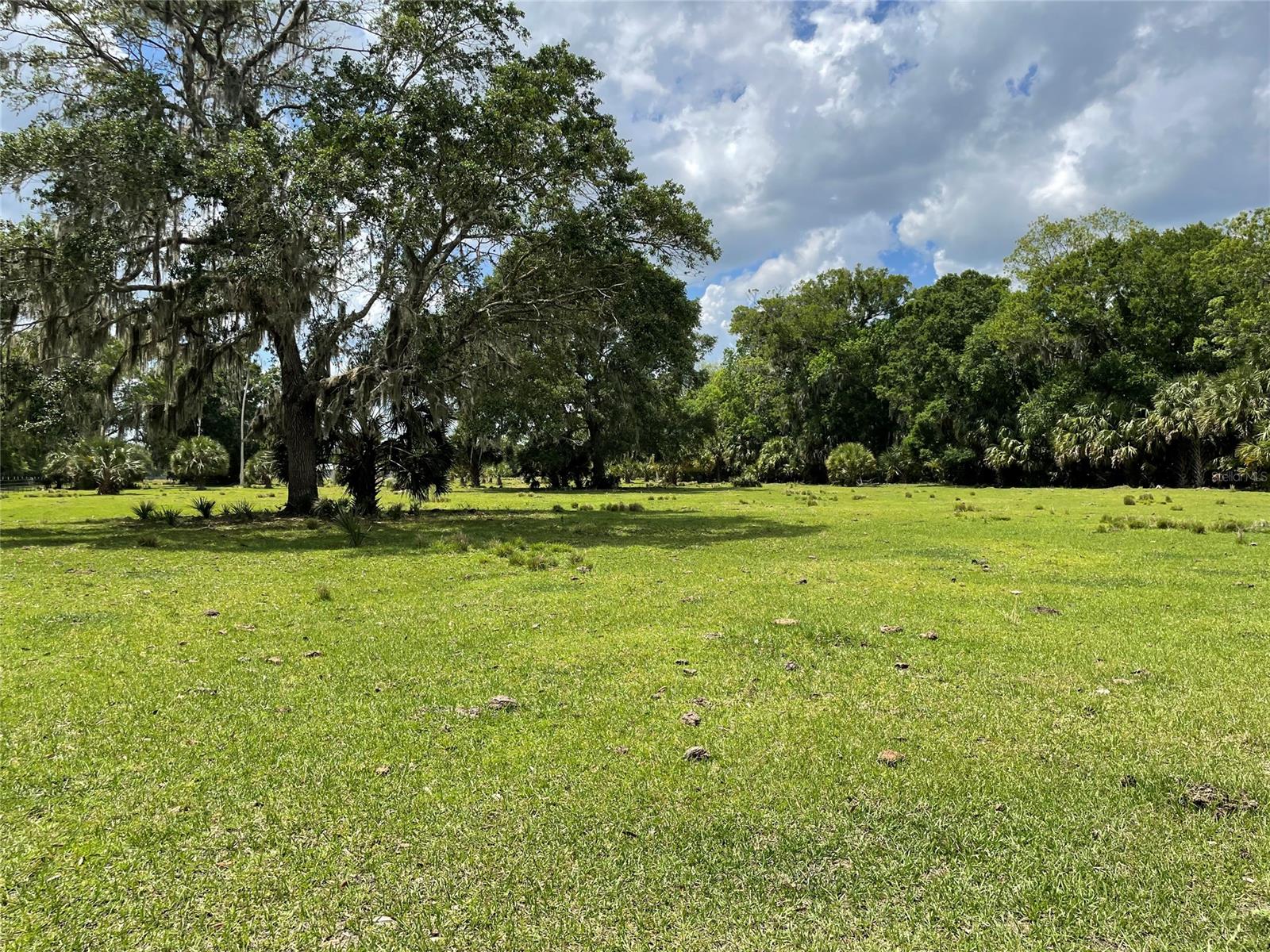 NEW TO THE MARKET! This 5 ACRES of CLEARED land with GREEN PASTURE and LARGE OAKS is completely FENCED and ready for you to build your new home or just bring the animals. Land is zoned Agriculture and in the City limits of Oak Hill. Located just moments from Burns SciTech Academy (top rated school) and Indian River Lagoon. Survey recently done and currently has Ag exemption on the land. All land development and permit questions should be directed to the City of Oak Hill. Property can only be shown by appointment.