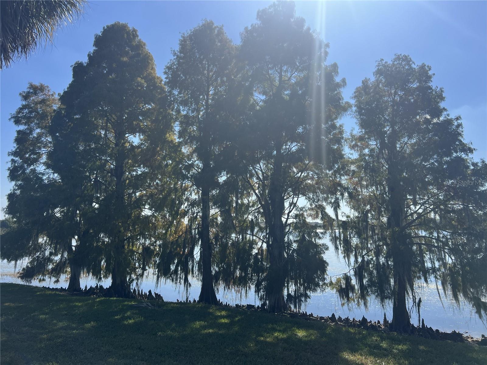 SHORE ACRES - Residential