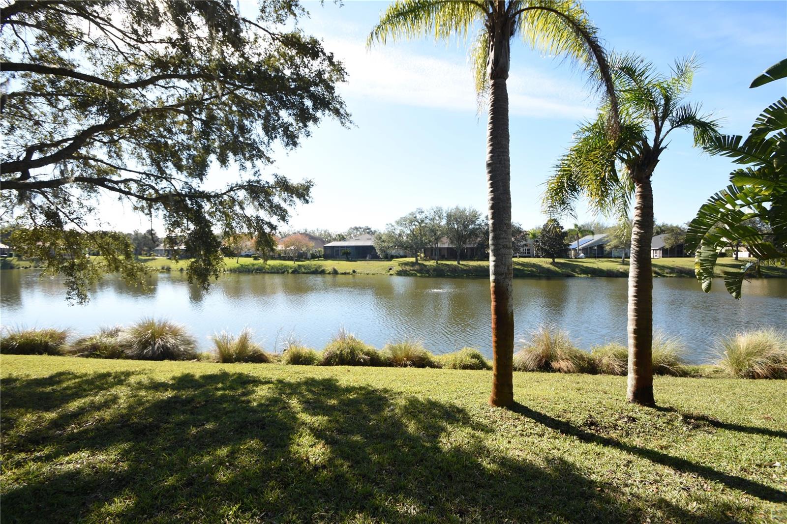 GRAND HAVEN - Residential Lease