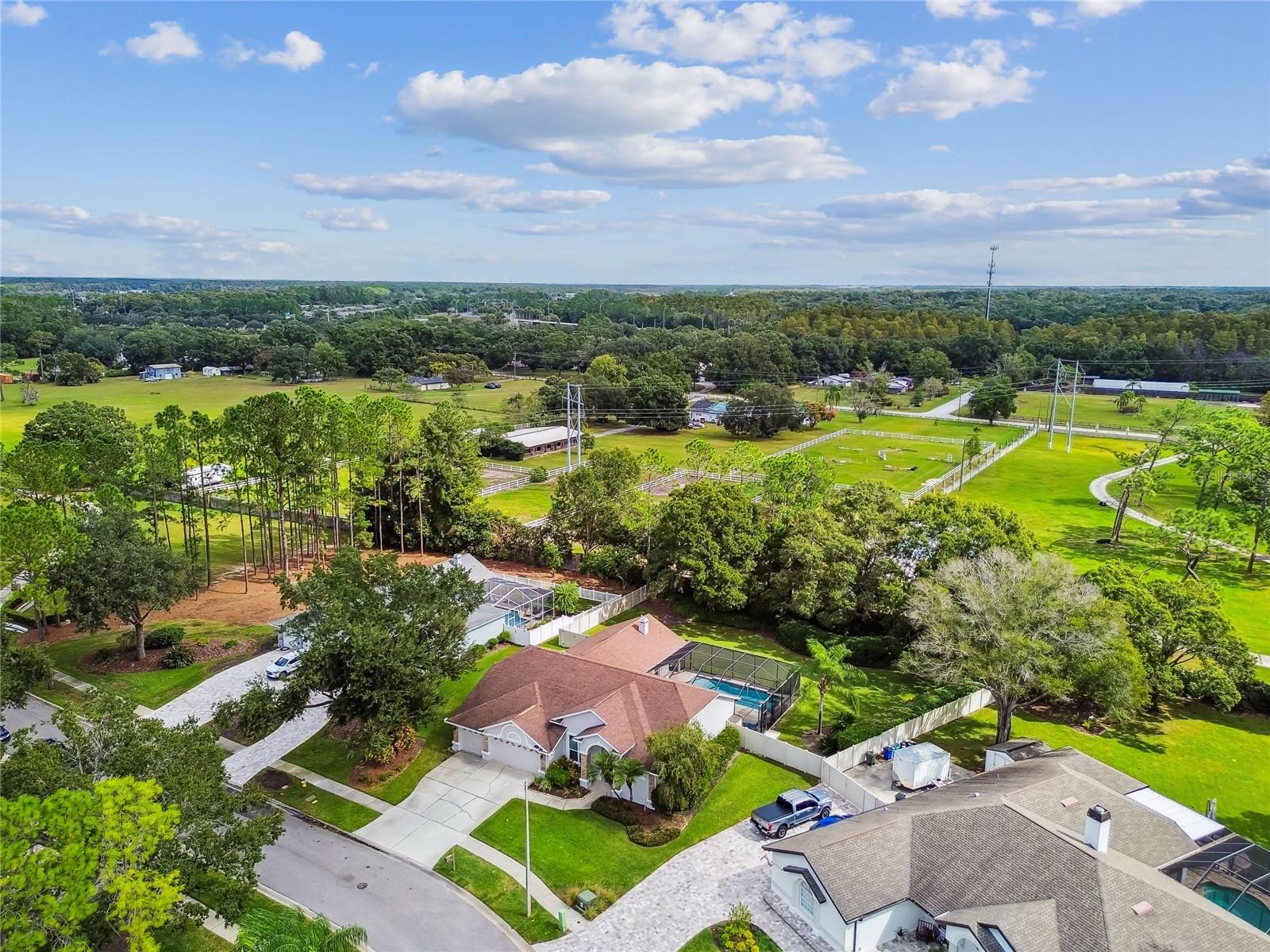 SOUTHFORK AT VAN DYKE FARMS - Residential