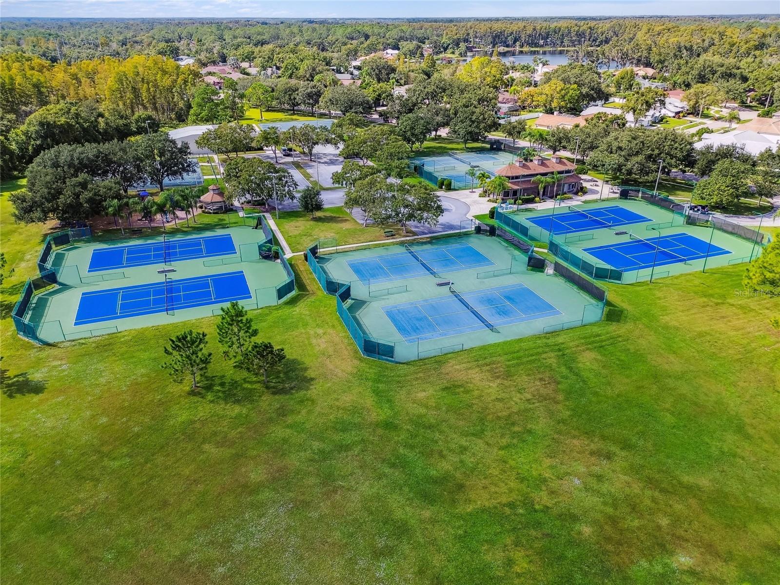 SOUTHFORK AT VAN DYKE FARMS - Residential