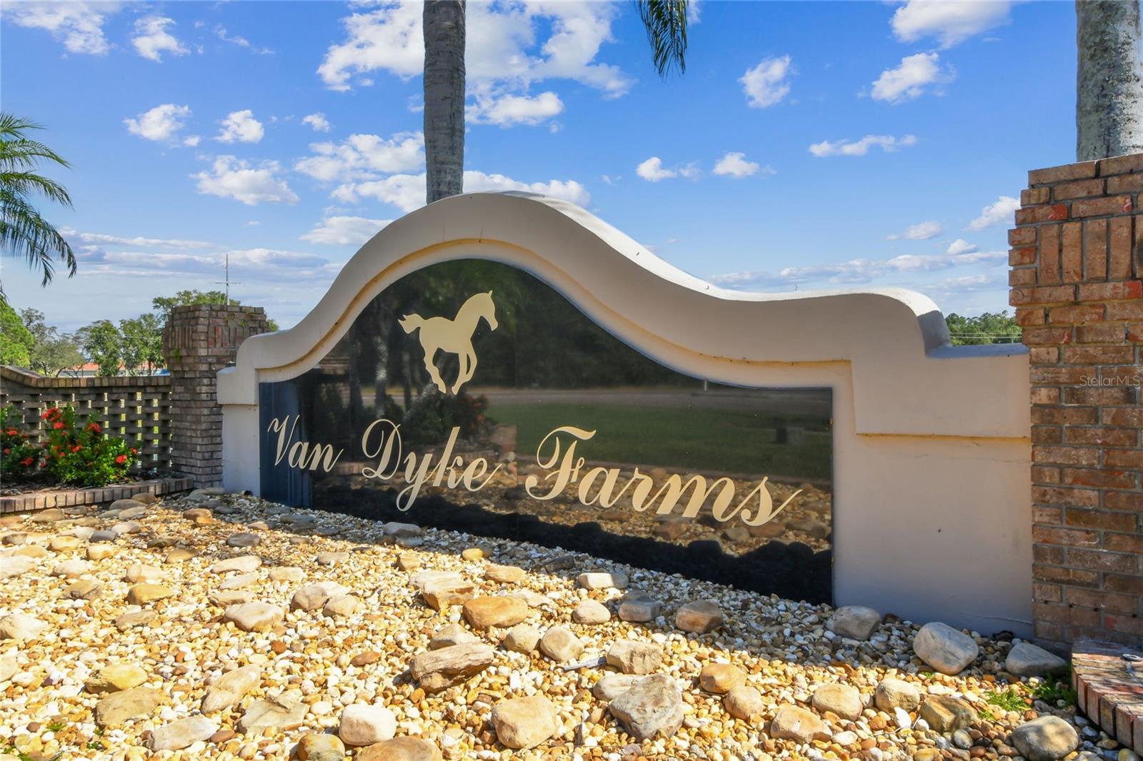 SOUTHFORK AT VAN DYKE FARMS - Residential